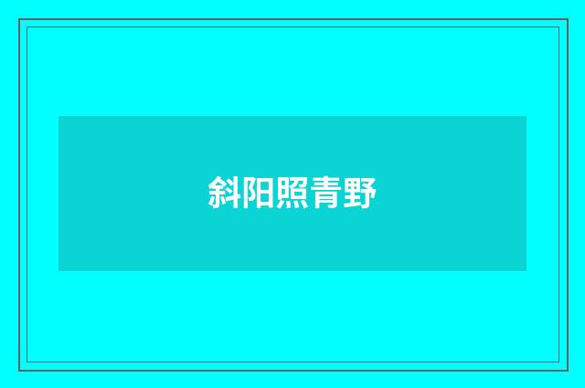 斜阳照青野