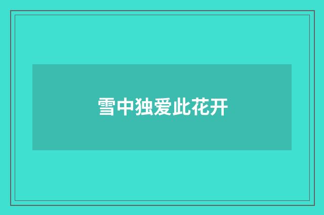 雪中独爱此花开