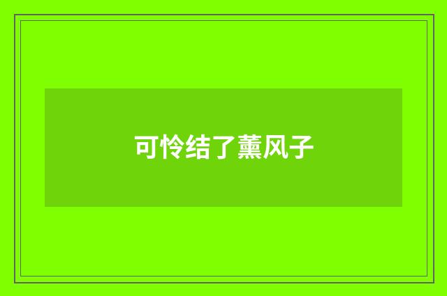 可怜结了薰风子