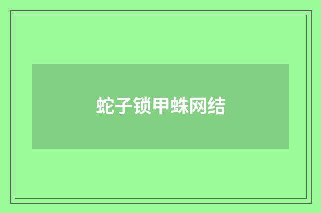 蛇子锁甲蛛网结