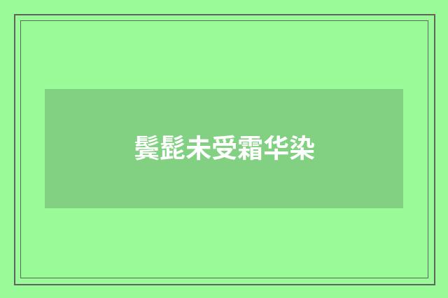 鬓髭未受霜华染
