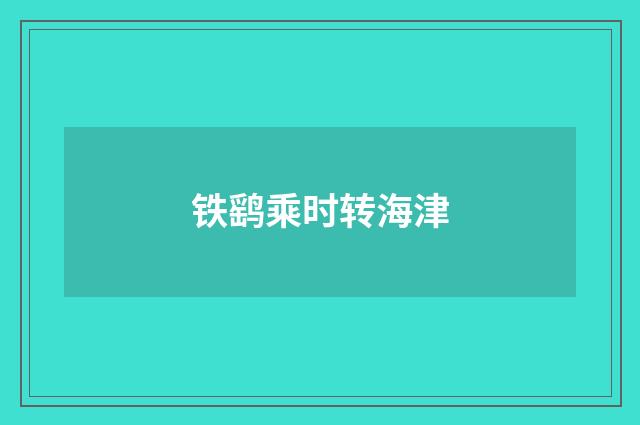 铁鹞乘时转海津