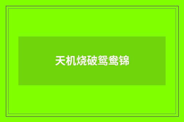 天机烧破鸳鸯锦