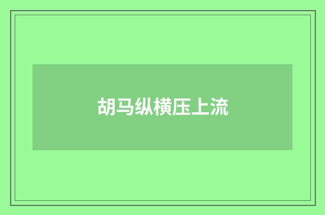胡马纵横压上流