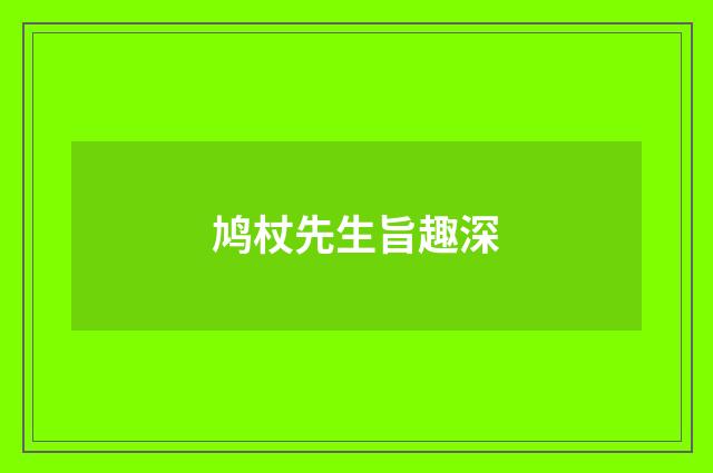 鸠杖先生旨趣深