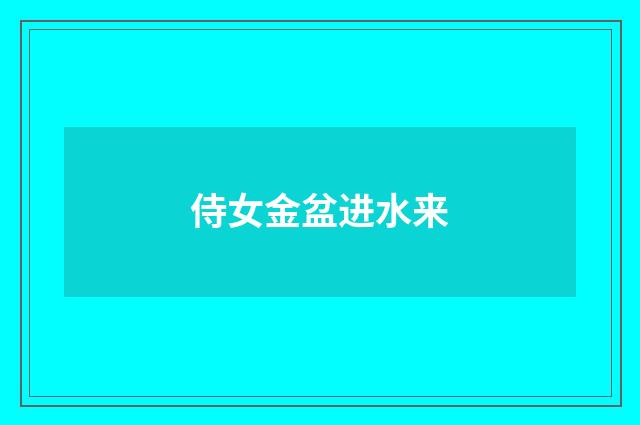 侍女金盆进水来