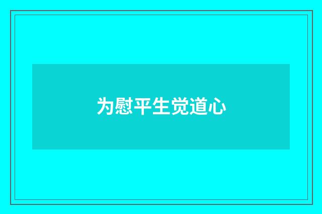 为慰平生觉道心