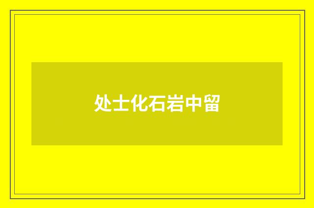 处士化石岩中留