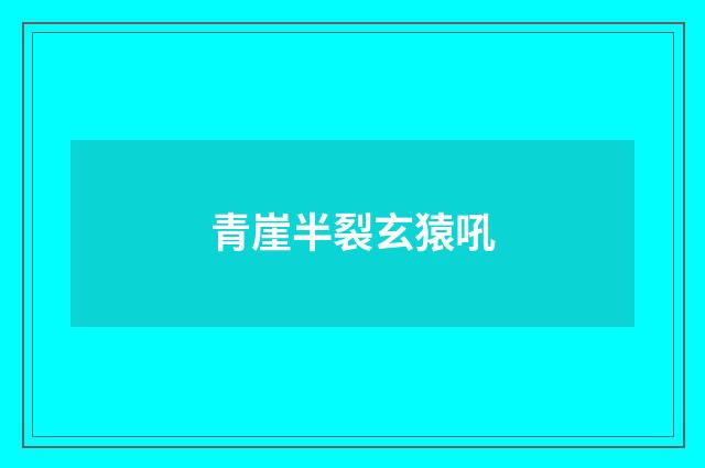 青崖半裂玄猿吼