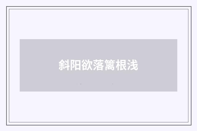 斜阳欲落篱根浅