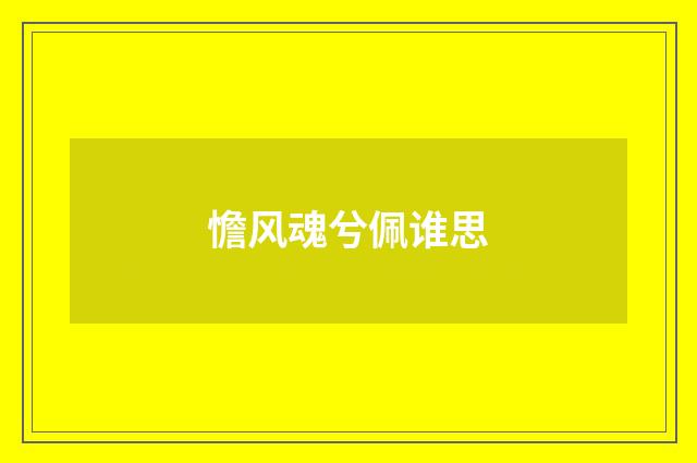 憺风魂兮佩谁思