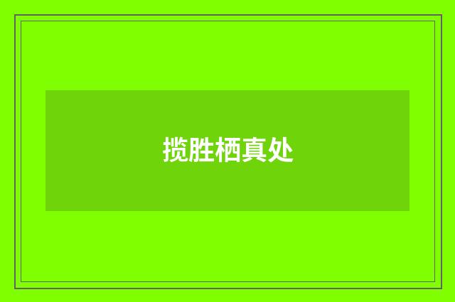 揽胜栖真处