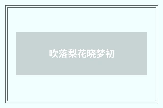 吹落梨花晓梦初