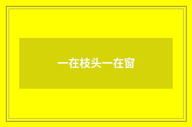 一在枝头一在窗