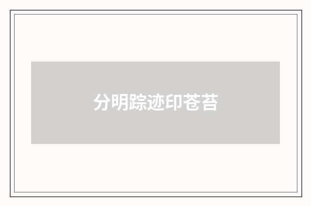 分明踪迹印苍苔