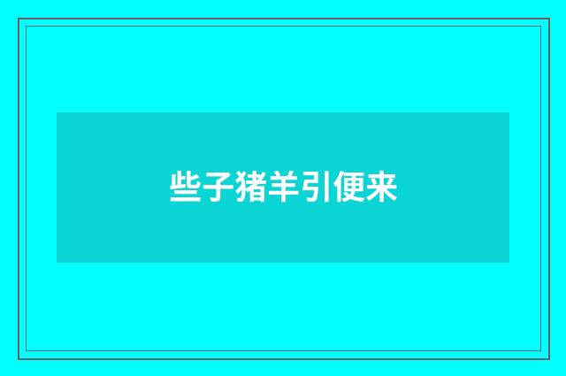 些子猪羊引便来