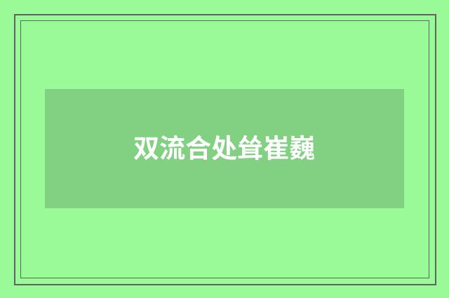 双流合处耸崔巍
