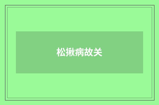 松揪病故关