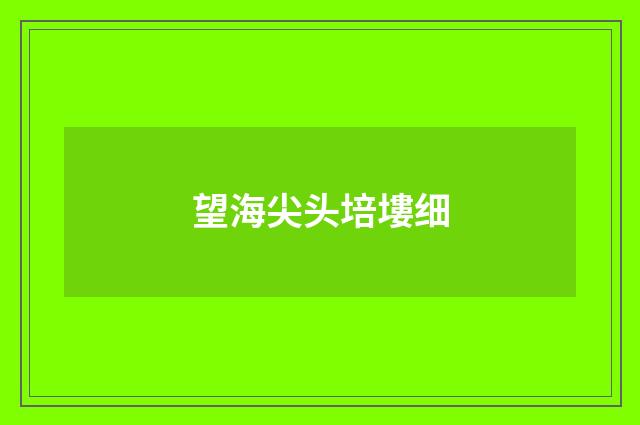 望海尖头培塿细