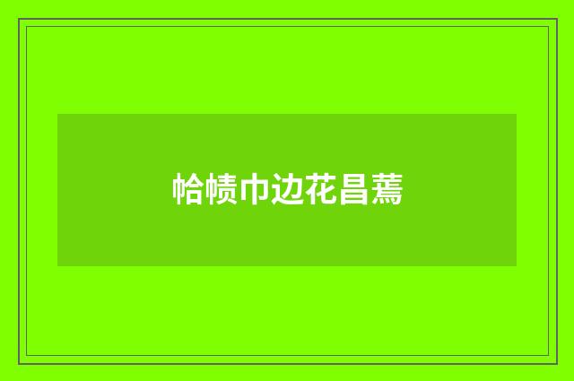 帢帻巾边花昌蔫