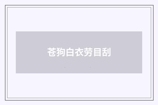 苍狗白衣劳目刮
