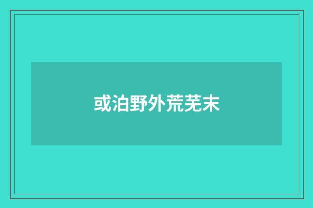 或泊野外荒芜末