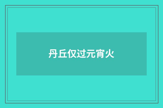 丹丘仅过元宵火