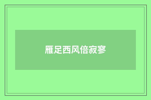 雁足西风倍寂寥