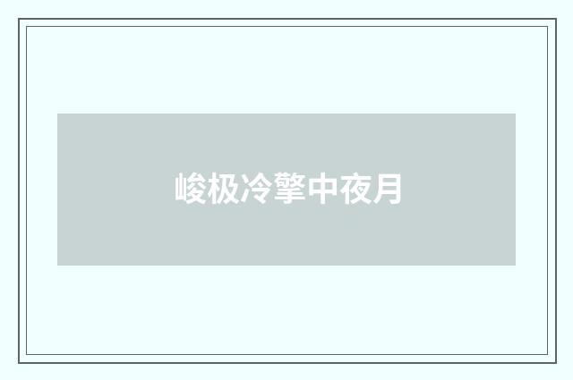 峻极冷擎中夜月