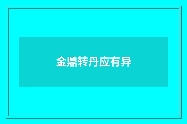 金鼎转丹应有异