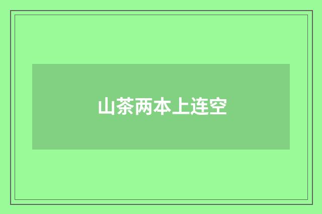 山茶两本上连空