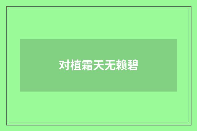 对植霜天无赖碧