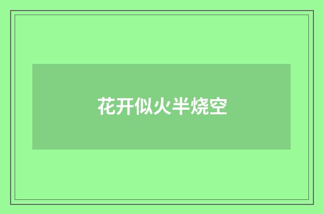花开似火半烧空