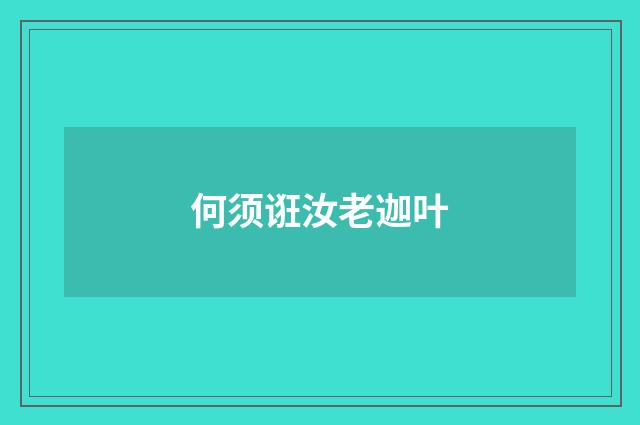 何须诳汝老迦叶
