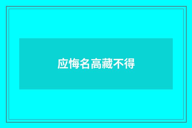 应悔名高藏不得