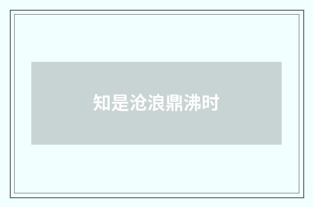 知是沧浪鼎沸时