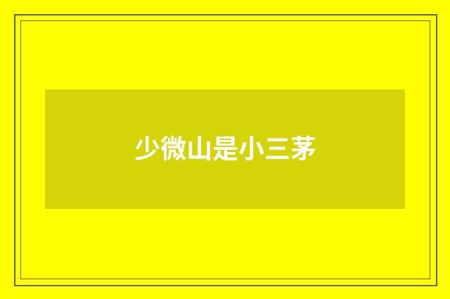 少微山是小三茅