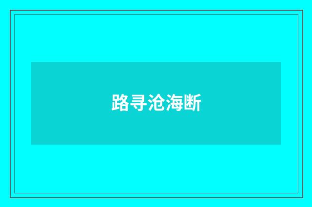 路寻沧海断