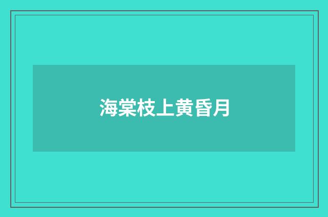 海棠枝上黄昏月