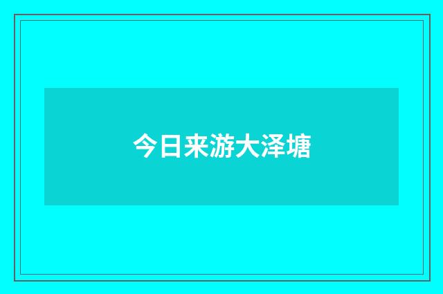 今日来游大泽塘