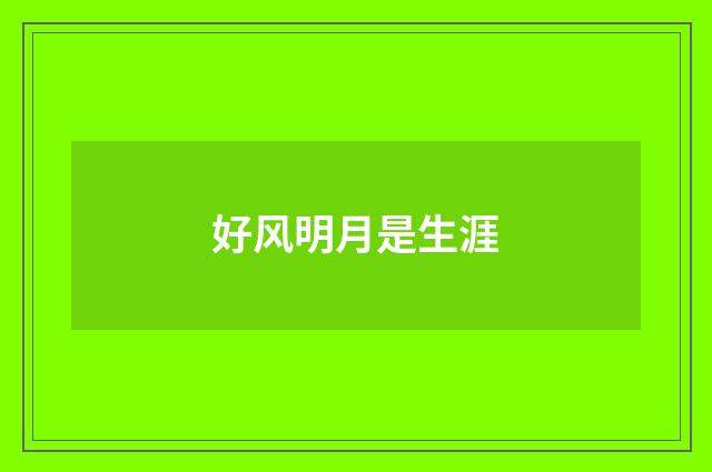好风明月是生涯