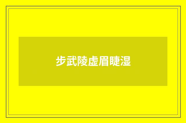 步武陵虚眉睫湿
