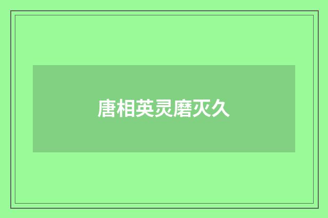 唐相英灵磨灭久