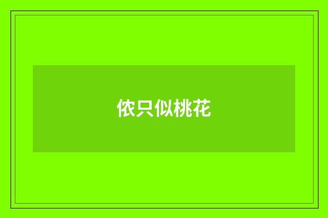 侬只似桃花
