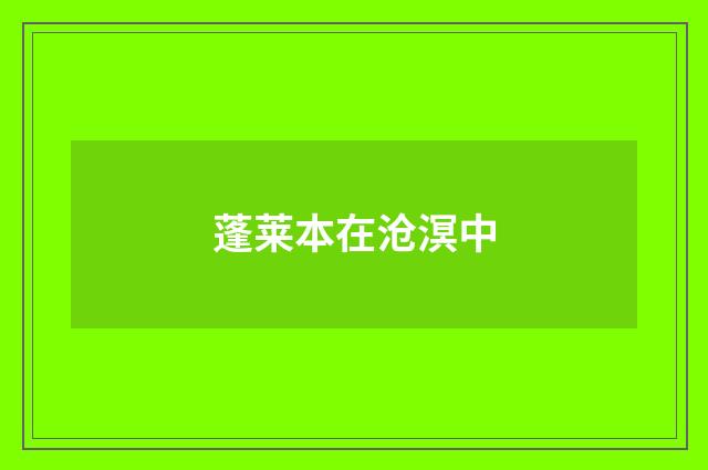 蓬莱本在沧溟中
