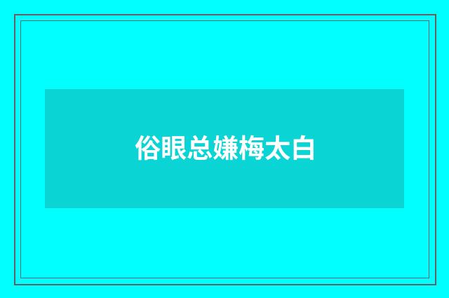 俗眼总嫌梅太白