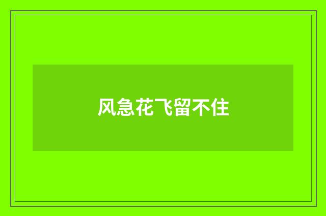 风急花飞留不住