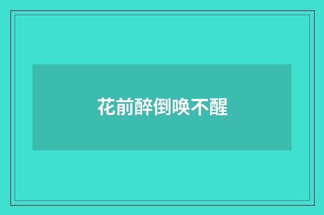 花前醉倒唤不醒