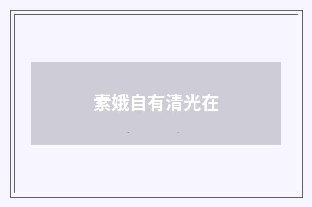 素娥自有清光在