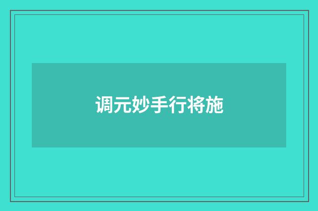 调元妙手行将施